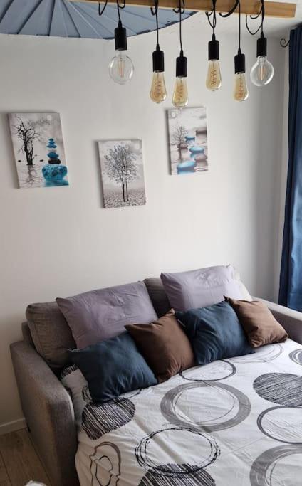 Nemo Petit Studio Cosy. Selongey Exteriér fotografie